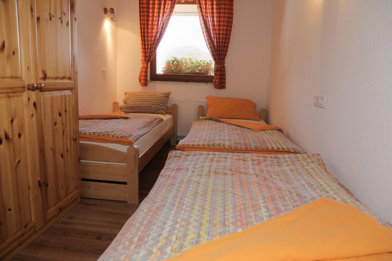 בוהין Apartma Kosnik מראה חיצוני תמונה